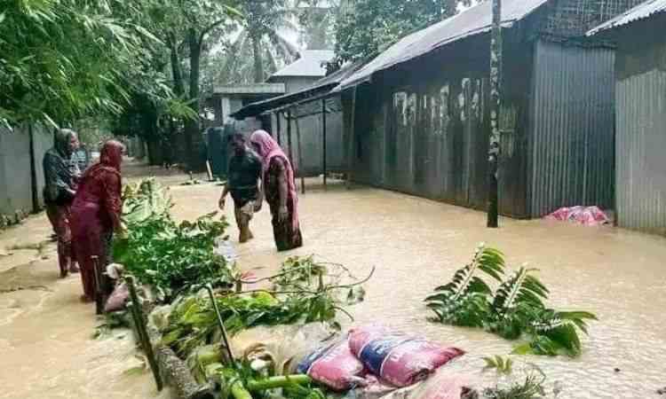 নালিতাবাড়ীতে পাহাড়ি ঢলে বৃদ্ধ ও নারীর মৃত্যু, দুই ভাইসহ নিখোঁজ আরও তিনজন