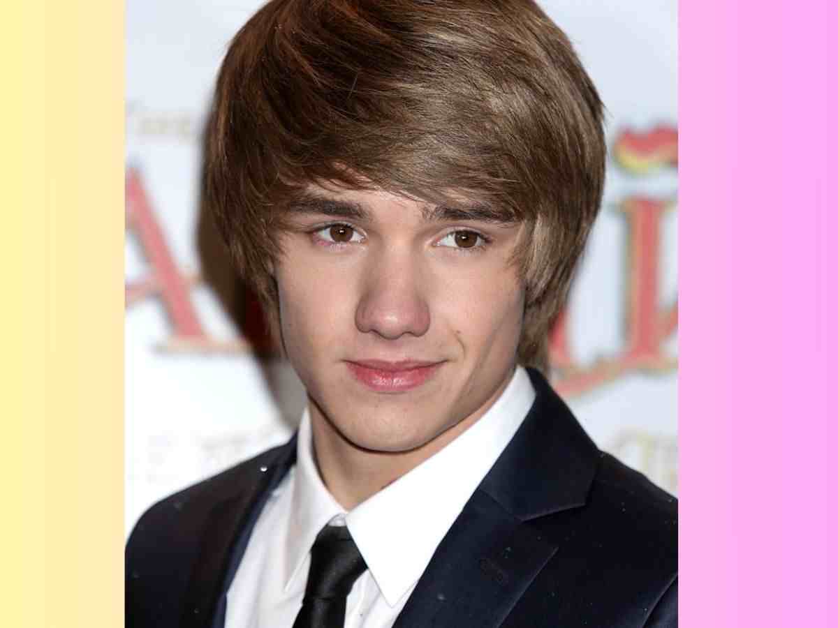 Liam Payne's Death Sparks 24,000-Signature Petition for Artist Mental Health Laws
